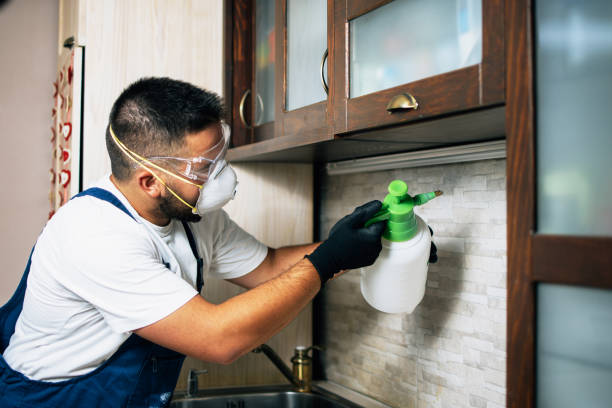 Best Cockroach Control Services  in Gresham, OR