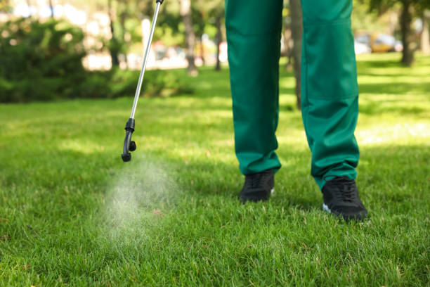 Best Spider Control Near Me  in Gresham, OR