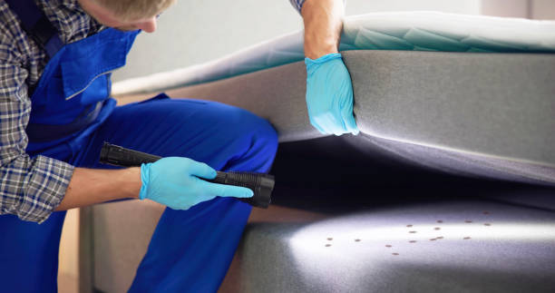 Best Mosquito Control Services  in Gresham, OR