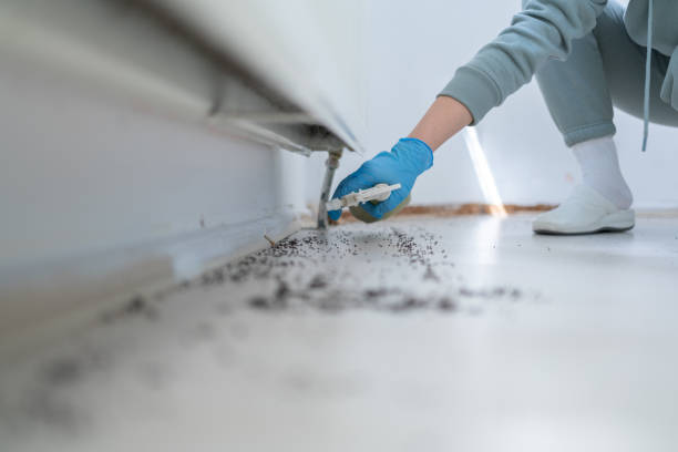 Best Affordable Pest Control Services  in Gresham, OR