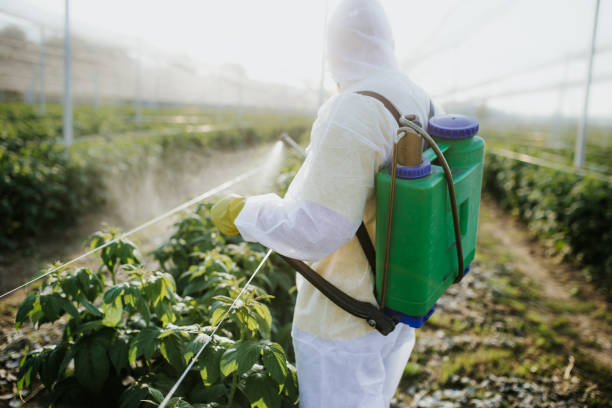 Best Commercial Pest Control Services  in Gresham, OR